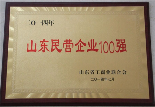 民營企業(yè)100強