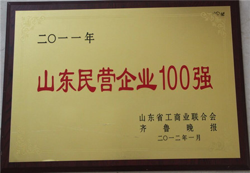 山東省民營企業(yè)100強