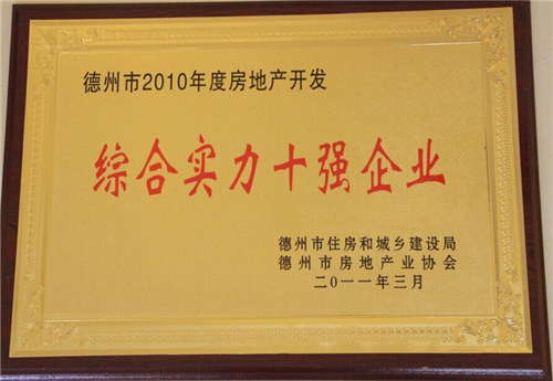 房地產(chǎn)開發(fā)綜合實力十強企業(yè)