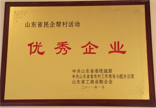 民企幫村活動優(yōu)秀企業(yè)