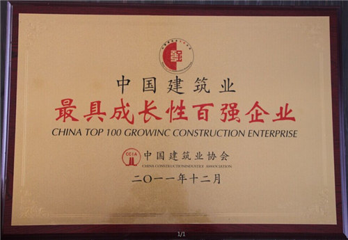 最具成長性百強企業(yè)