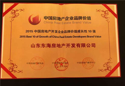 中國房地產(chǎn)開發(fā)企業(yè)品牌價值成長性10強