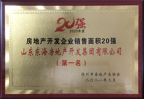 德州市房地產(chǎn)開發(fā)企業(yè)銷售面積第一名