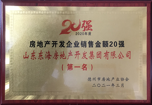 德州市房地產(chǎn)開發(fā)企業(yè)銷售金額第一名