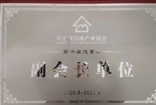 山東省房地產(chǎn)業(yè)協(xié)會副會長單位